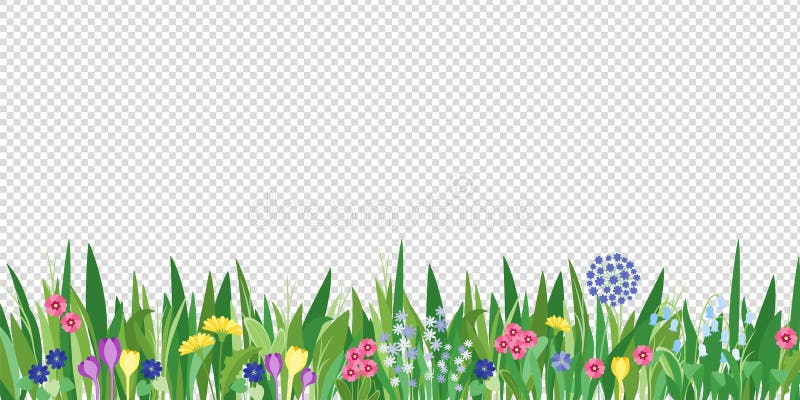 Lentegruitgras en bloemengrens Cartoon vectorbloemachtergrond Groene elementen op transparante achtergrond Lentegruitgras en bloemengrens Cartoon vectorbloemachtergrond Groene elementen op transparante achtergrond