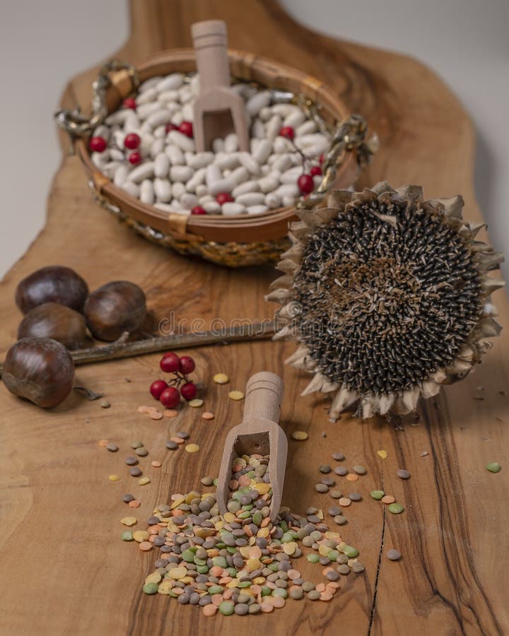Lenticchie colorate su una tavola da taglio di legno con girasole e fagioli bianchi sullo sfondo fotografie stock