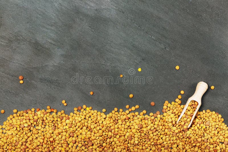 Lenticchie secche sparse sul fondo nero naturale dell'ardesia. Lenticchie crude su fondo di pietra posteriore Concetto vegetariano sano dell'alimento Superfoods Vista superiore, spazio della copia Le lenticchie sono ricche di carboidrati, di fibra, di massimi complessi in proteina e fanno un'alternativa eccellente della carne