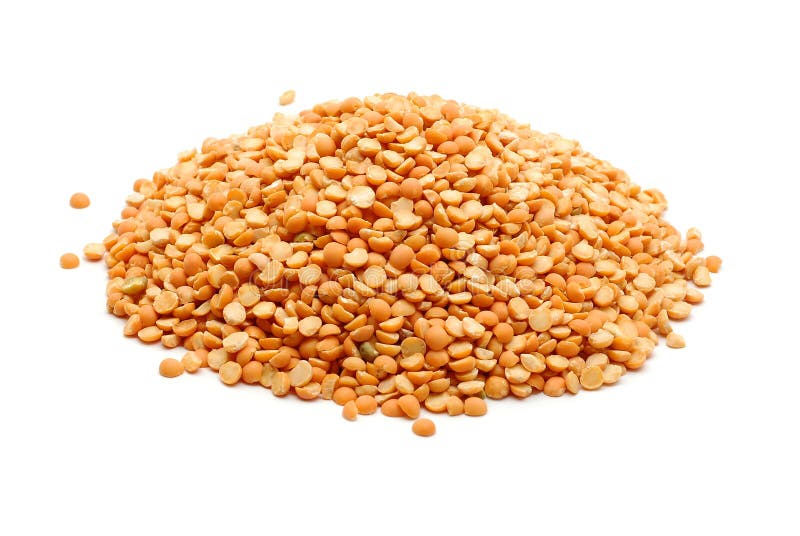 Lentil isolated