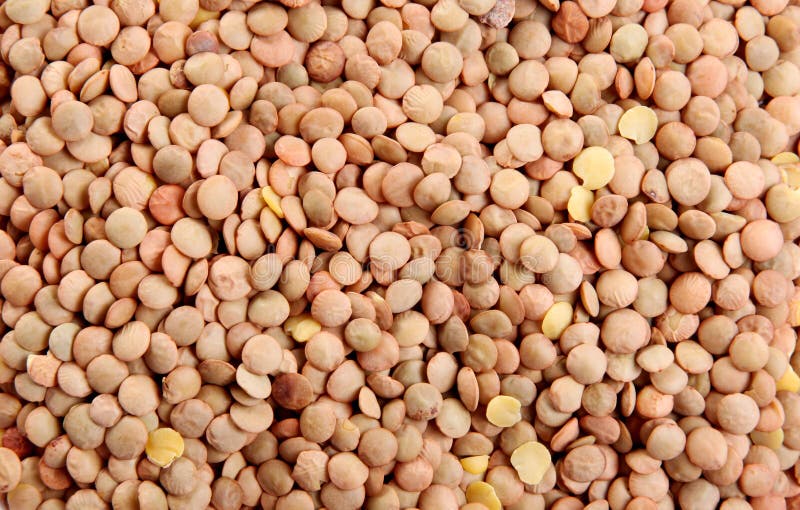 Lentils