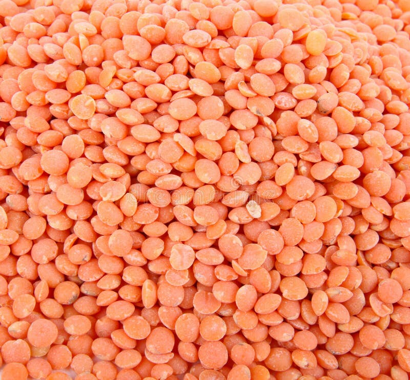 Lentils stock photo. Image of nutrition, uncooked, agriculture 16779298