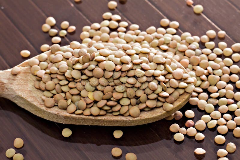 Lentils - Lens culinaris royalty free stock photo