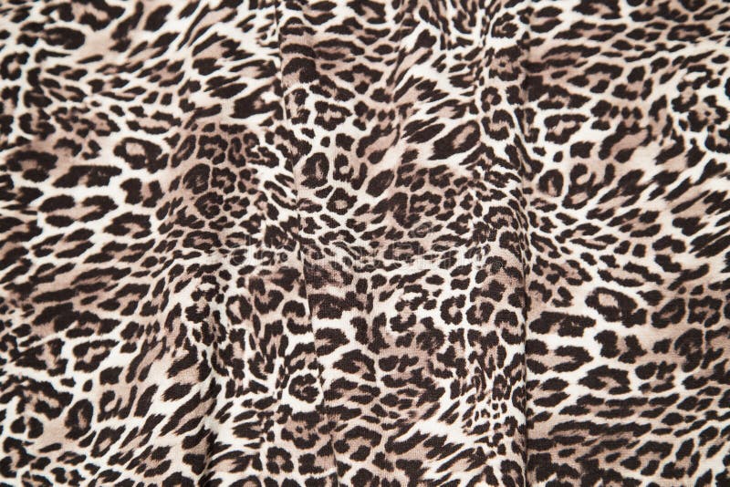 Leopard Print Images – Browse 224,745 Stock Photos, Vectors, and Video