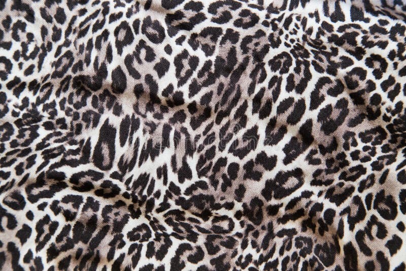 2,019 Leopard Print Material Stock Photos - Free & Royalty-Free Stock  Photos from Dreamstime