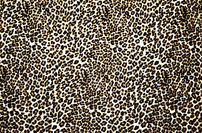 Leopard-Druck stockfotos