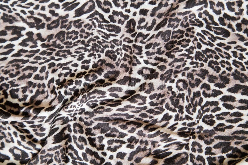 102 Leopard Letters Wild Stock Photos - Free & Royalty-Free Stock Photos from Dreamstime 102 Leopard Letters Wild Stock Photos - Free & Royalty-Free Stock Photos from Dreamstime