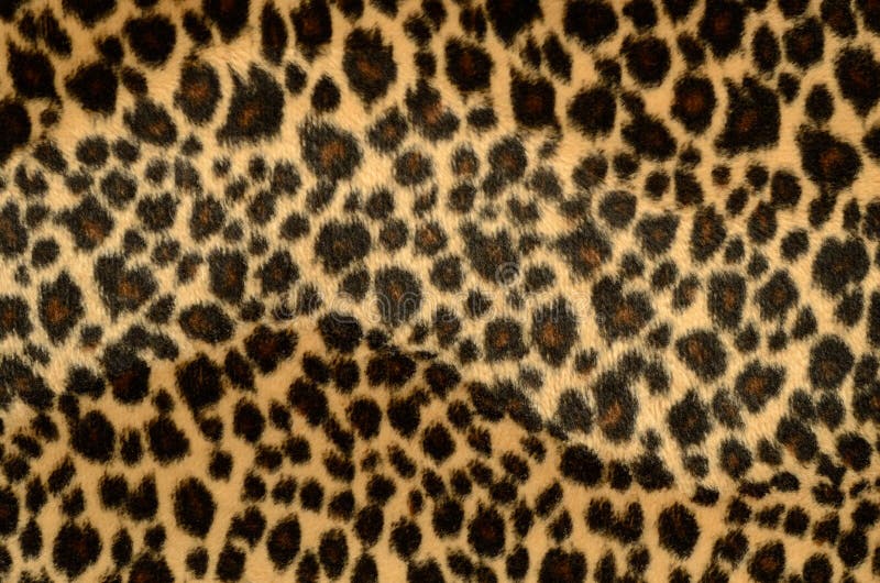 Leopard fur texture stock image. Image of animal, interior - 9604043