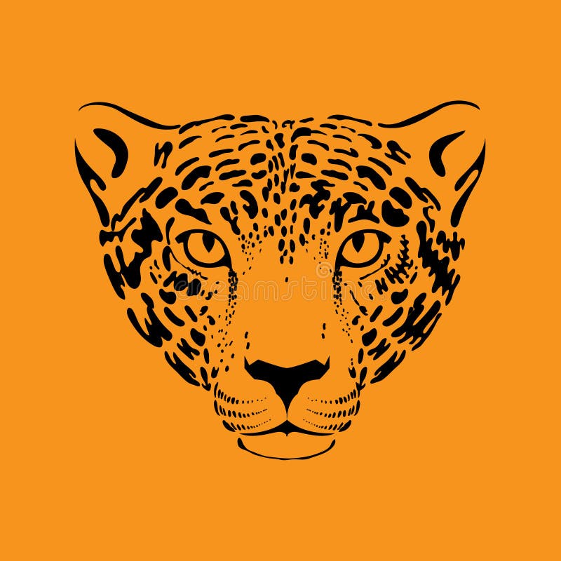 Leopard, jaguar stock vector. Illustration of mammal 57836723