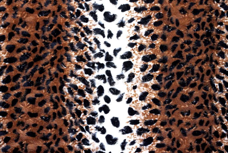 Leopard-Muster stockfotos