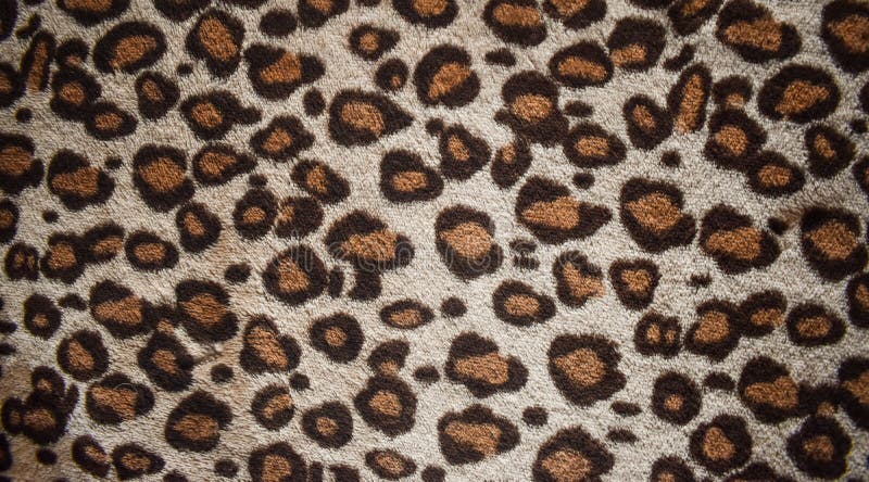 Leopard pattern design, trendy natural fur background, Leopard fur pattern seamless real hairy texture. Fashion, trend 2019. stock image Leopard pattern design, trendy natural fur background, Leopard fur pattern seamless real hairy texture. Fashion, trend 2019. stock image