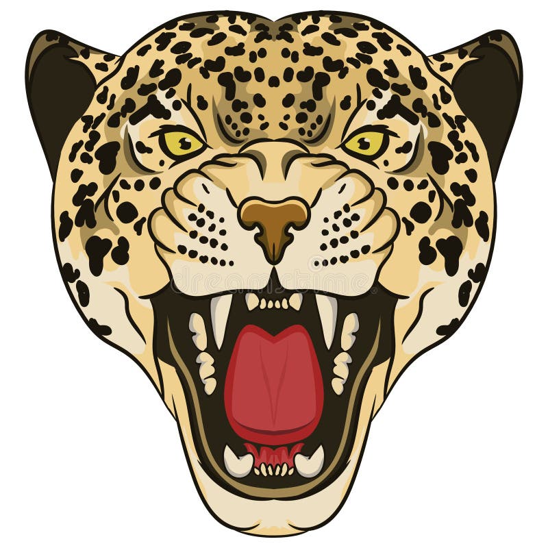 Leopard Portrait. Angry Wild Big Cat Stock Vector - Illustration of ...