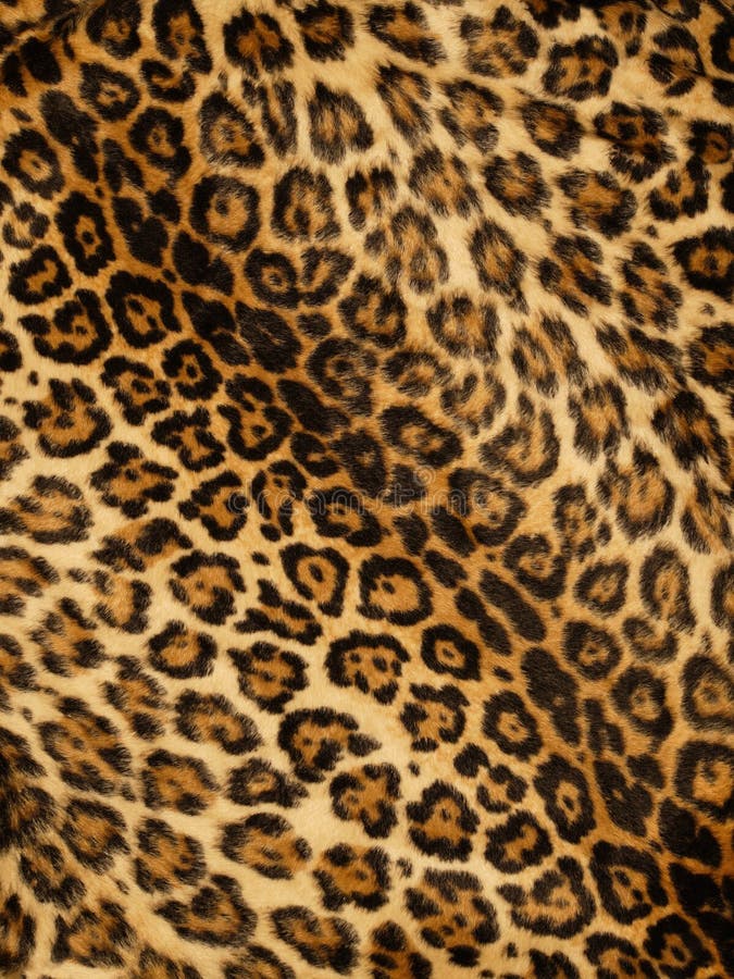 Sample of Lady Leopard Wallpaper in Authentic Brown and Black