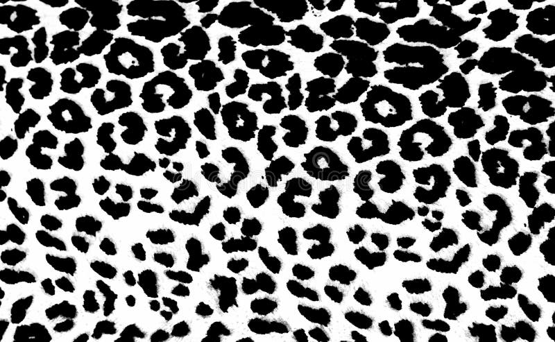 Leopard Print Stock Illustrations – 54,534 Leopard Print Stock  Illustrations, Vectors & Clipart - Dreamstime