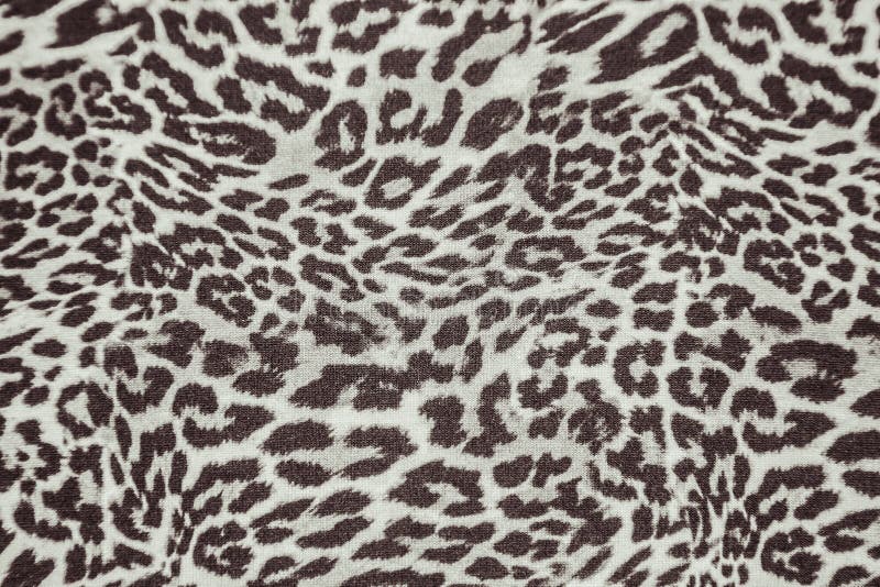 Cheetah Print Images – Browse 156,286 Stock Photos, Vectors, and Video