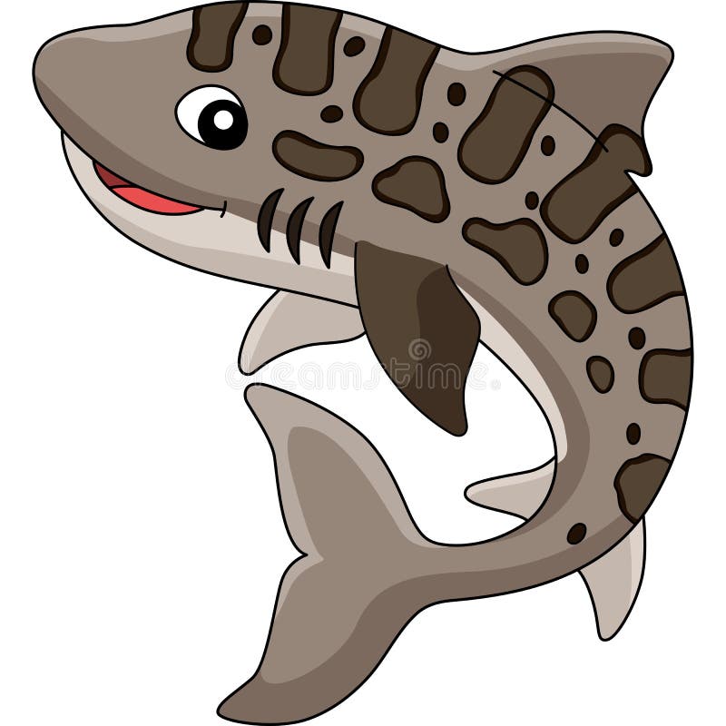 Triakidae Stock Illustrations 9 Triakidae Stock Illustrations