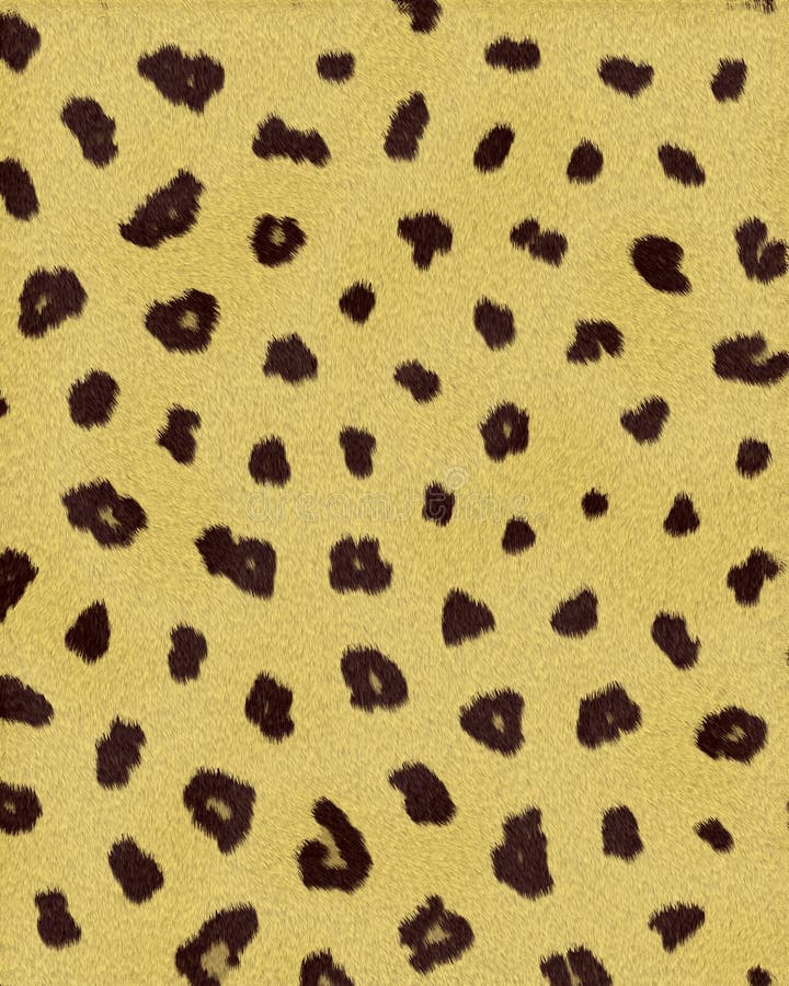 Leopard small spots short fur