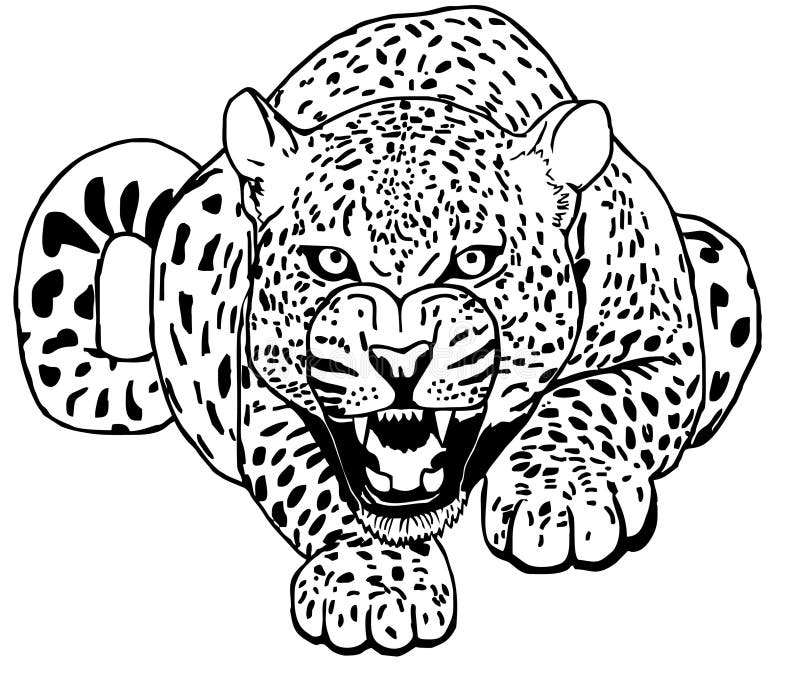 Leopard Stock Illustrations – 76,165 Leopard Stock Illustrations ...