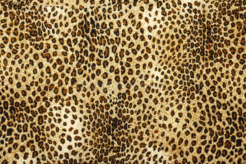 Leopardhaut-Musterbeschaffenheit Eopard Beschaffenheitshintergrund Tierdruck Leopard-Pelzbeschaffenheit lizenzfreie stockbilder