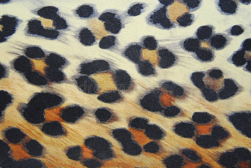 Leopardmuster stockfoto