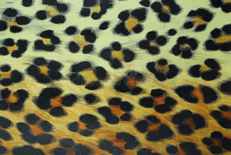Leopardmuster lizenzfreie stockfotos