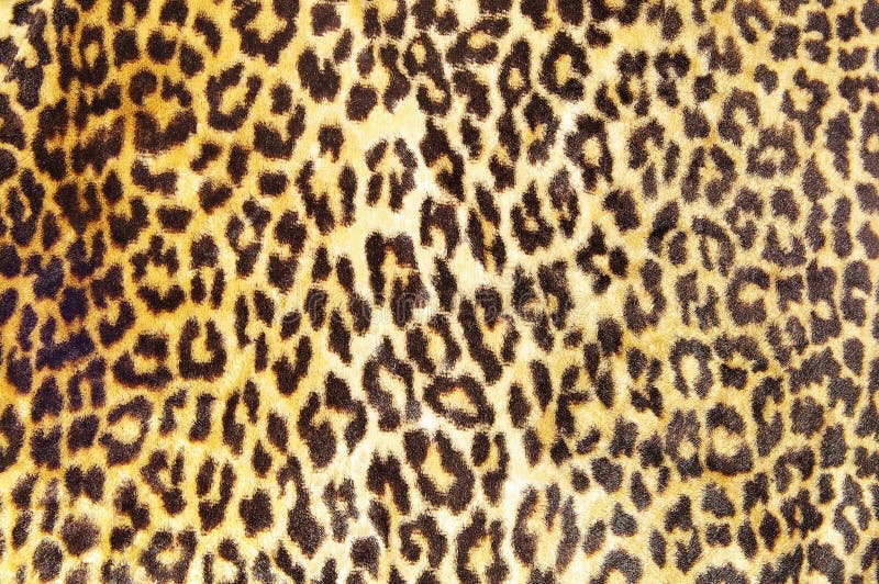 Leopardmuster stockfotografie