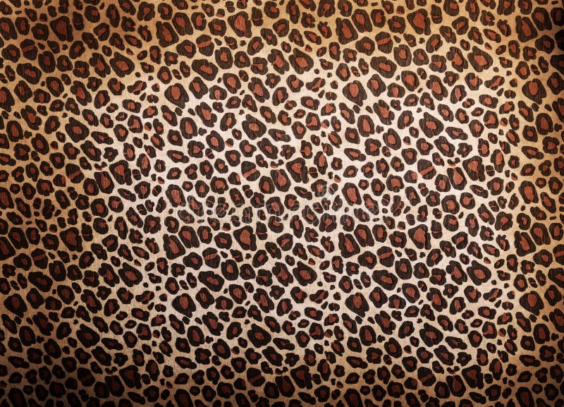 Leopardmuster lizenzfreie stockbilder