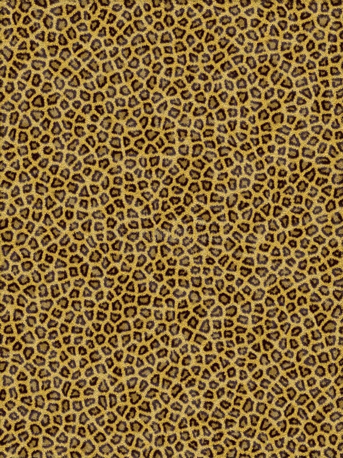 Leopardmuster lizenzfreie abbildung Leopardmuster lizenzfreie abbildung