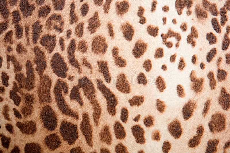 Leopardmusterbeschaffenheit stockbilder