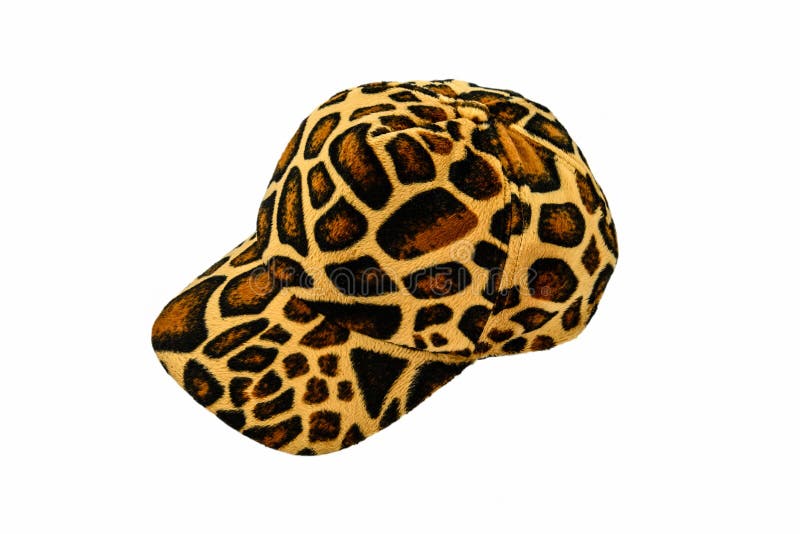 Leopardmusterhut stockfoto
