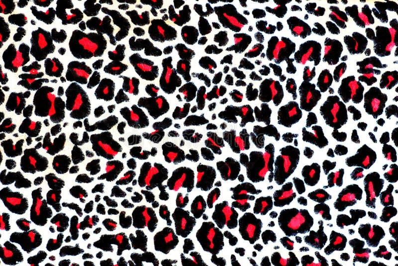 Leopardpelzhintergrund stockfotografie