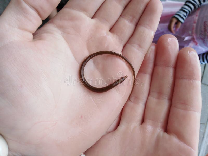 boy catches flesh water eel boy catches flesh water eel