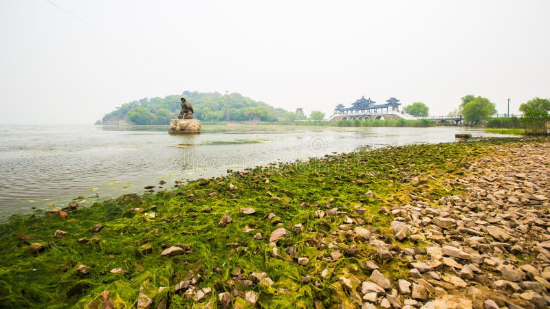 Les algues vertes ont pollué le taihu de lac à Wuxi photographie stock Les algues vertes ont pollué le taihu de lac à Wuxi photographie stock