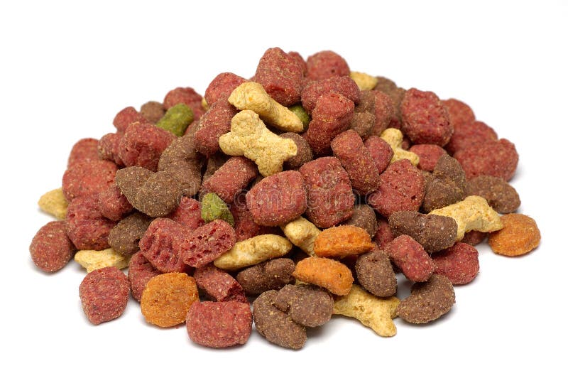 aliments pour chat diabétique