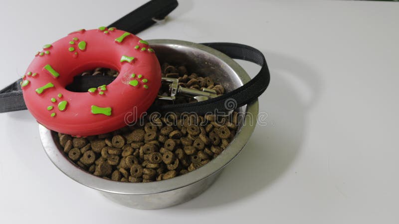 Les animaux familiers sont concept d'amis Cuvette d'animal familier et jouets en caoutchouc avec la corde pour le chien ou le cha photographie stock libre de droits Les animaux familiers sont concept d'amis Cuvette d'animal familier et jouets en caoutchouc avec la corde pour le chien ou le cha photographie stock libre de droits