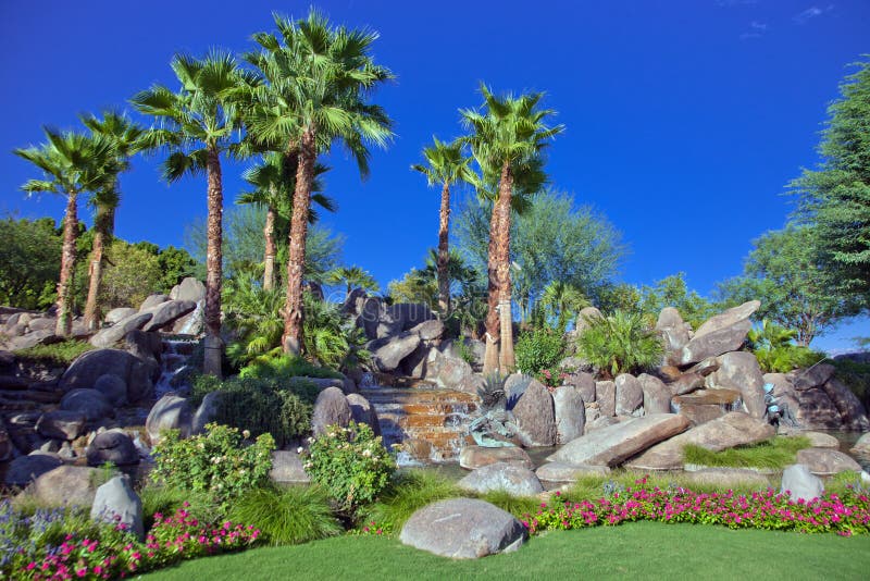 Colorful desert shrubs and cactus grow among palm trees at a city park in Palm Springs, California. Colorful desert shrubs and cactus grow among palm trees at a city park in Palm Springs, California.