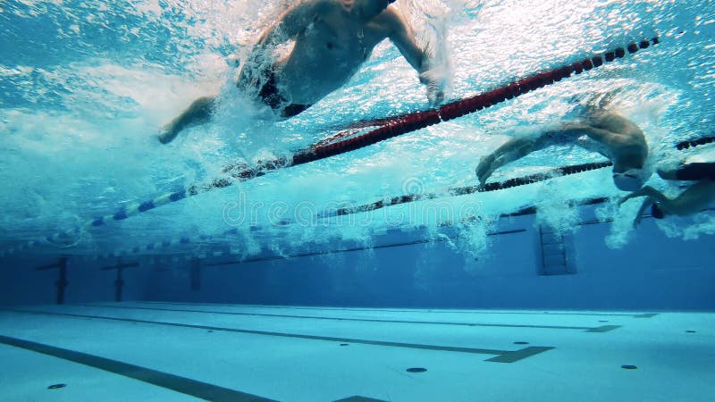 Les athlètes nagent devant ramper dans une piscine. concept d'activité sportive détermination entraînement mode de vie sain. banque de vidéos