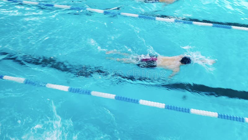 Les athlètes s'entraînent en piscine. vue supérieure clips vidéos