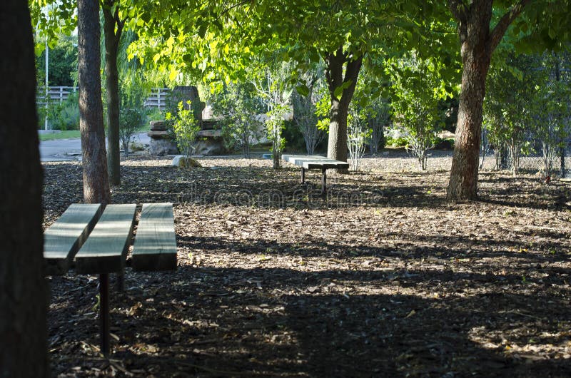 Les bancs de parc sous les arbres de parc image libre de droits Les bancs de parc sous les arbres de parc image libre de droits