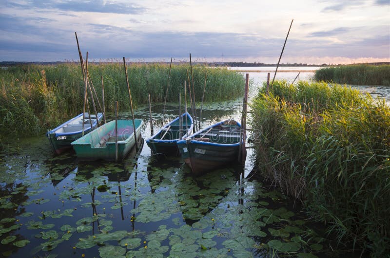 Oder river, Poland,fabulous sunrise on the river. Oder river, Poland,fabulous sunrise on the river