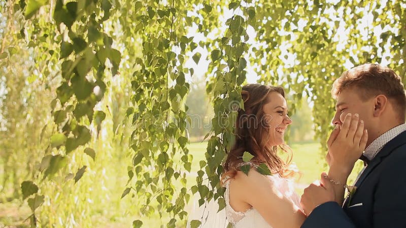 Les beaux et heureux jeunes mariés sous les branches des arbres de bouleau se réjouissent ensemble Mains émouvantes