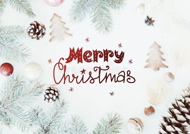 Les biscuits de Noël et de nouvelle année, les branches de sapin et l'appartement de cônes de pin étendent le fond photographie stock libre de droits Les biscuits de Noël et de nouvelle année, les branches de sapin et l'appartement de cônes de pin étendent le fond photographie stock libre de droits