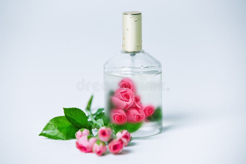 Les bouteilles de Parfume avec se sont levées photographie stock Les bouteilles de Parfume avec se sont levées photographie stock