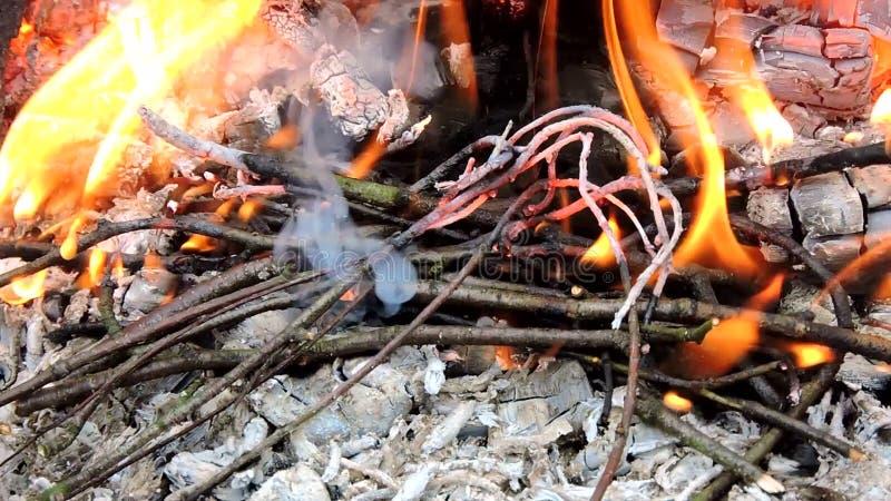 Les branches minces des arbres se trouvent sur des charbons ardents et la lumière dans une flamme rouge tournent alors en cendre.