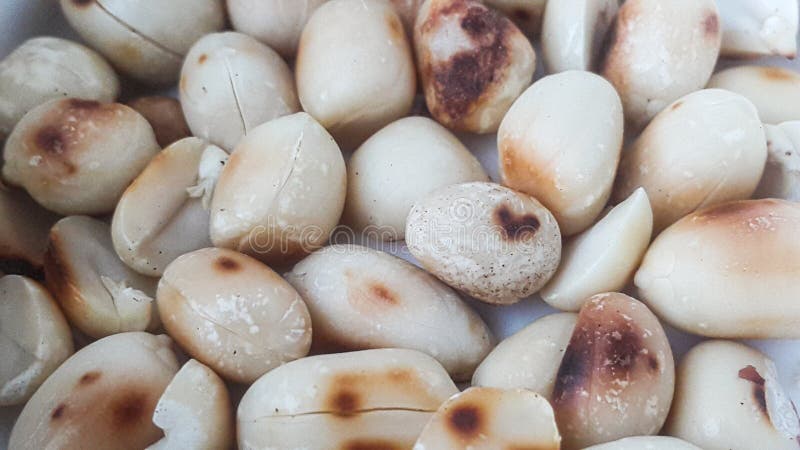 Les cacahuètes rôties sont utilisées comme ingrédient dans de nombreux plats thaïlandais photographie stock