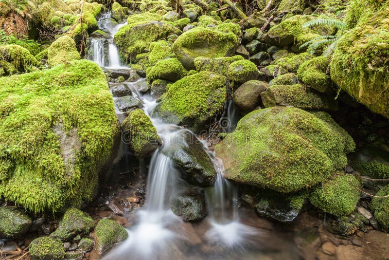 Les cascades par la mousse ont couvert des roches photographie stock libre de droits Les cascades par la mousse ont couvert des roches photographie stock libre de droits