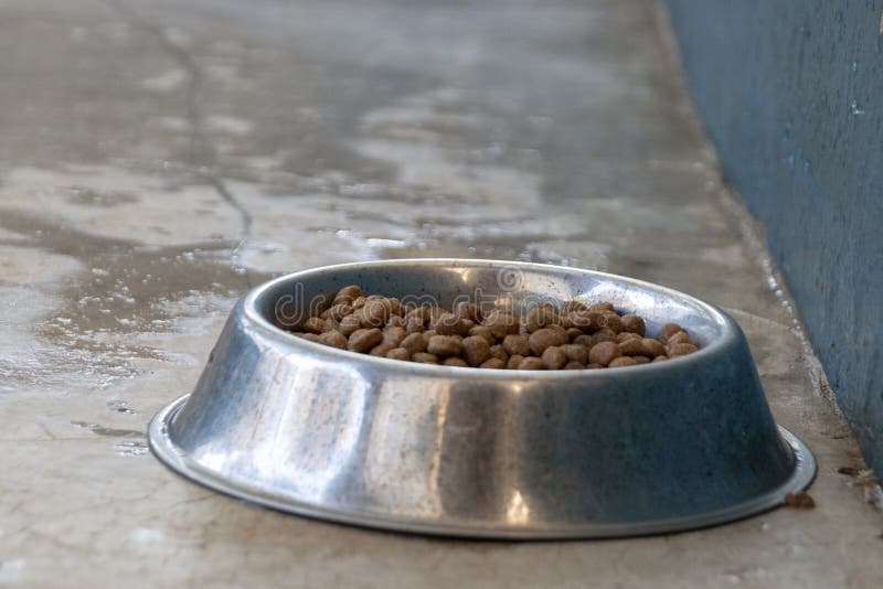 Les chiens en métal roulent avec de petits biscuits à l'intérieur image stock Les chiens en métal roulent avec de petits biscuits à l'intérieur image stock