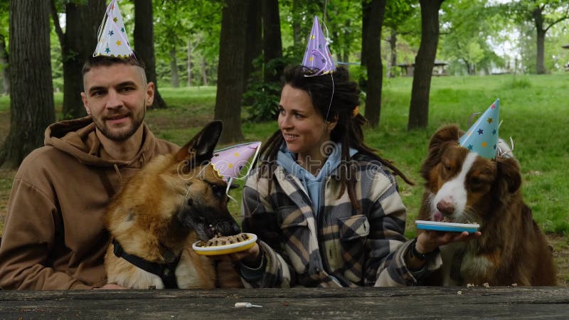 Les chiens fêtent leur anniversaire en famille. jeune couple heureux avec leurs deux bergers australiens et allemands en vert prin