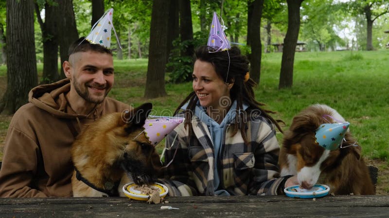 Les chiens fêtent leur anniversaire en famille. jeune couple heureux avec leurs deux bergers australiens et allemands en vert prin