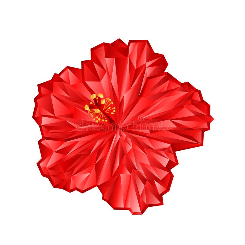 Les Chinois roses de fleur de ketmie, les polygones roses sur un fond blanc dirigent l'illustration editable illustration stock Les Chinois roses de fleur de ketmie, les polygones roses sur un fond blanc dirigent l'illustration editable illustration stock